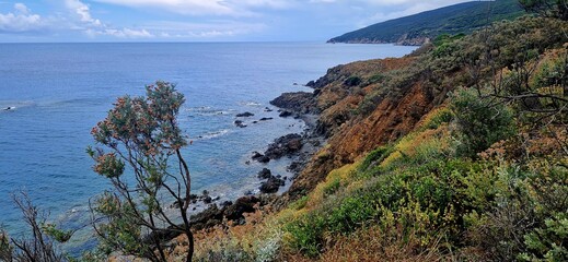 Sea coastline of Parco Punta Falcone, Italy. June 25, 2024. Blue sea and colorful coast.