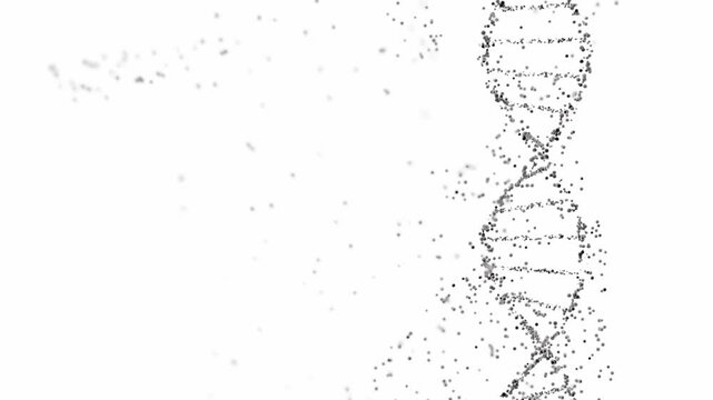 3D rendering of a DNA double helix structure with spheres on a white background with copy space. Genomic sequencing, molecular biology, and genetic data analysis