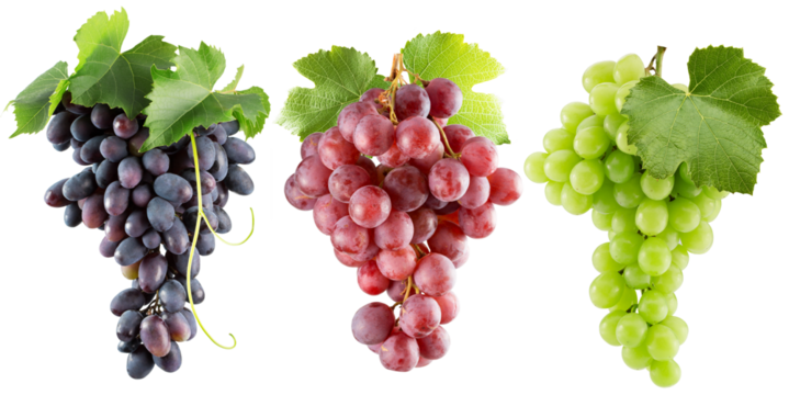 set of the green, purple and pink grapes isolated on a white background