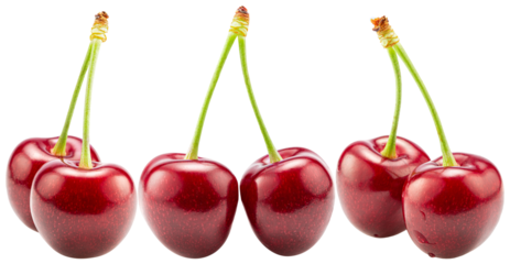 set of the sweet cheries isolated on a white background