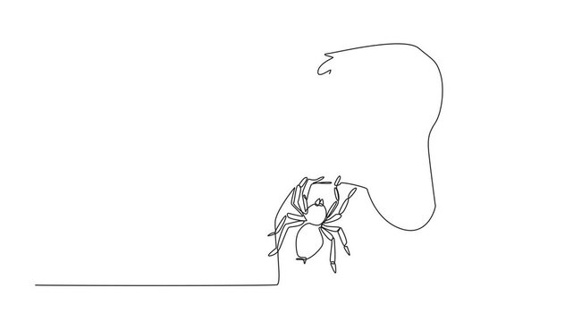 Animated self drawing of single continuous line drawing a large spider stuck to a man's sleeve. Keeping tarantulas as pets. A popular pet. National Save a Spider Day. Full length single line animation
