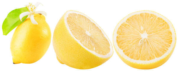 set of the lemon with slices isolated on a white background