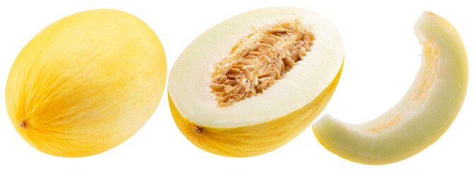 set of the melons isolated on a white background