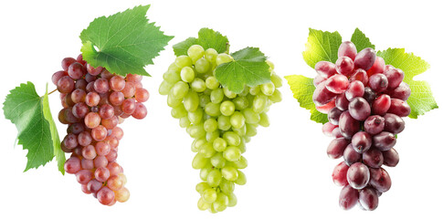 set of the green, purple and pink grapes isolated on a white background