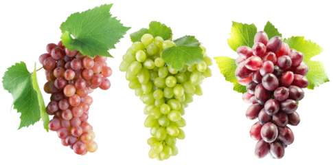 set of the green, purple and pink grapes isolated on a white background