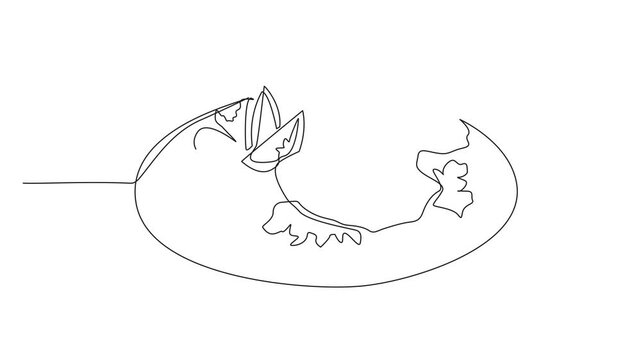 Animated self drawing of continuous line drawing one scallop baked with shell open. Food presentation that increases appetite. Delicious. National Baked Scallops Day. Full length single line animation