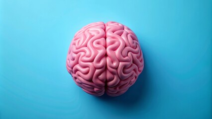 Pink brain model is laying on a blue background representing intelligence