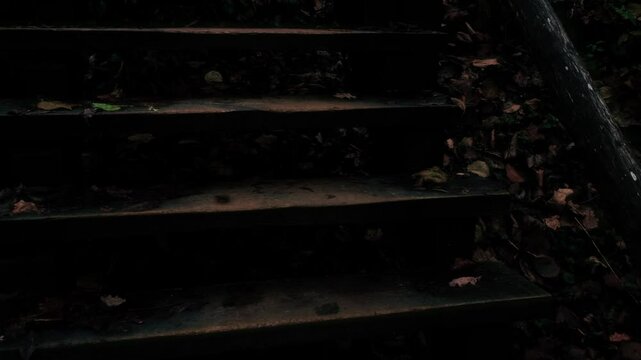Closeup old wooden steps of stairs down video 4K for Halloween. Dilapidated staircase. Descent into dungeon. Autumn haunted forest gloomy atmosphere. Fall season. Creepy witch lair. Horror cinema mood