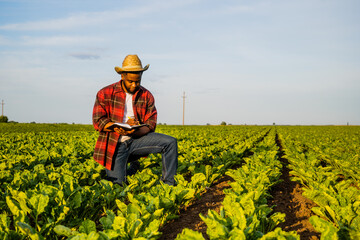 Young farmer is writing notes in his growing spinach field.	