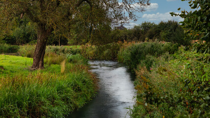 The Windrush river in Gloucestershire