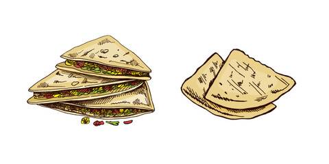 Hand-drawn set of quesadilla in sketch style. Vintage drawing of Mexican dish. Vector black ink outline food illustration. Mexican food, cuisine. An illustration for the menu. Latin America.