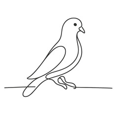 A bird is sitting on a branch. The bird is white and has a black beak. The bird is looking to the right