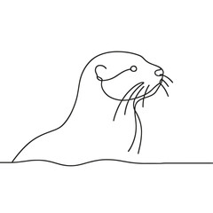Fototapeta premium A seal is shown in a black and white drawing. The seal is looking to the right. The drawing is simple and clean, with no color
