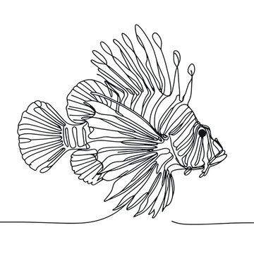lionfish single line drawing clip art preview