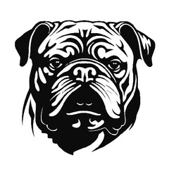 British bulldog dog silhouette, Vector illustration silhouette of a dog on a white background.