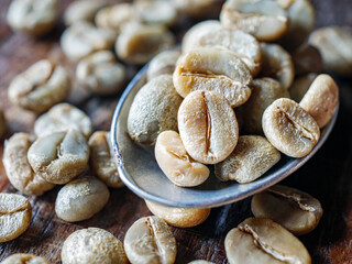 Green coffee bean on a stainless steel spoon, Close-up of fresh raw coffee bean, unroasted  coffee bean on wooden table, macro