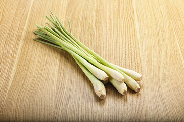 Lemongrass - Asian aroma plant for cooking