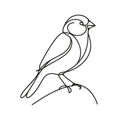 Fototapeta premium A bird is sitting on a rock. The bird is small and has a long tail. The rock is grey and has a few cracks