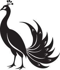 Obraz premium Vector art silhouette of a peacock in black against a white background, highlighting its graceful form and feathers