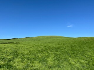 Naklejka premium A simple yet striking view of a green hill rolling under a clear blue sky, highlighting the open beauty of nature.