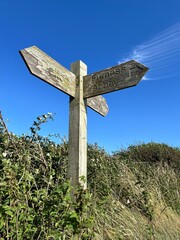  weathered wooden signpost with directional arrows surrounded by overgrown grass and shrubs, capturing the charm of rural navigation under a clear sky.