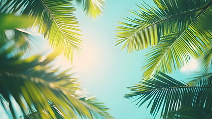 Fototapeta premium Palm Tree Fronds Reach Towards a Bright Blue Sky, Sunbeams Glimmering Through the Lush Green Foliage.