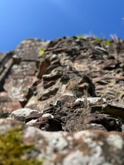 Stone textures and uneven surfaces of Piel Castle create a rugged profile against the bright sky, highlighting the enduring presence of this medieval structure.