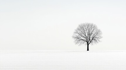 Fototapeta premium A Single Bare Tree Stands Tall in a Snowy Field