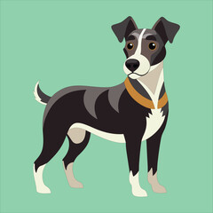 Dog color vector art illustrator (022)