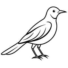    A cute bird vector art illustration.
