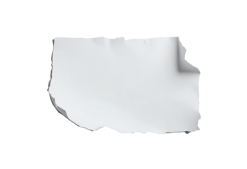 Torn paper on transparent background. Sticky paper on transparent background. Cut out
