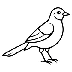 Fototapeta premium A cute bird vector art illustration. 