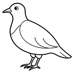    A cute bird vector art illustration.
