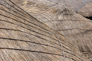 Korean traditional thatched roof