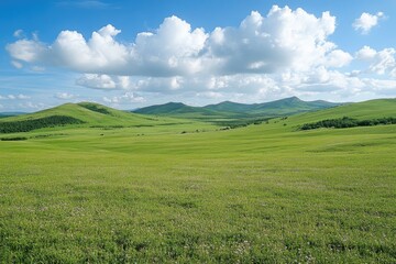 Fototapeta premium Green grass growing on vast field with mountains under blue cloudy sky