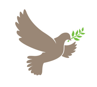 beautiful flying peace dove bird outstretched wings with olive branch silhouette vector transparent background