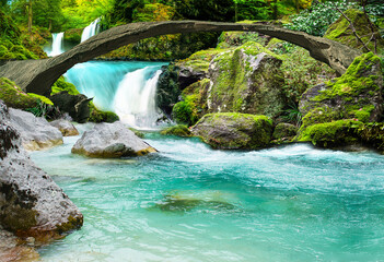 Naklejka premium BACH #23941.2