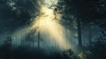 A surreal 2d illustration of a forest illuminated by the soft light of dawn