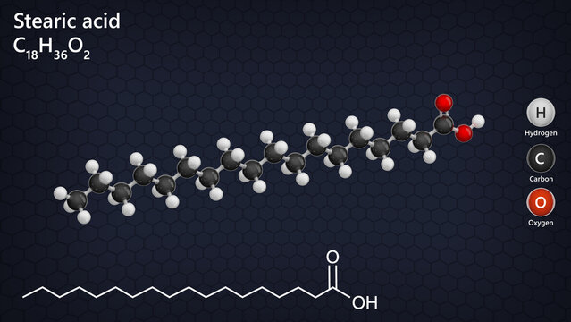 Structure of the octadecanoic acid molecule C18H36O2. Octadecanoic acid is a C18 straight-chain saturated fatty acid component of many animal and vegetable lipids. It is a waxy solid. 3d illustration