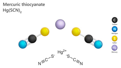 Model of the mercury thiocyanate molecule C2N2S2Hg. It is an odorless white crystalline powder. It is very toxic if inhaled and ingested. White background. 3d illustration
