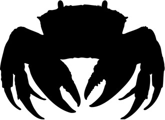 silhouette of a some marine biota