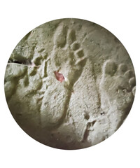 Footprint of a bare human foot in the sea sand in summer evening,The impression is deep and detailed, capturing the contours of a human foot. The surrounding sand is undisturbed.