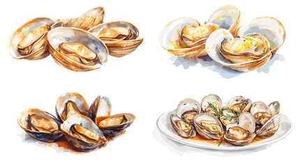 Obraz premium Four different types of clams are shown on a white plate. The clams are arranged in a way that highlights their unique shapes and sizes. The plate is placed on a white background