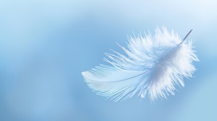 Single White Feather, Gentle Wave, Ethereal Minimalism, Soft Lighting, Tranquility, Serenity, Peace