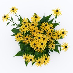 Growing flowering bush of yellow daisies. Isolated on a white background. 3d render in high resolution