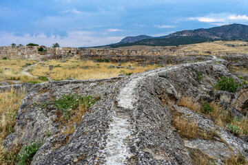 Empty road in a national park in Turkiye