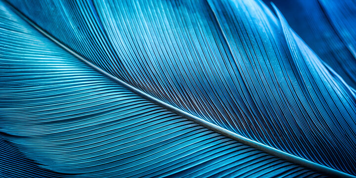 Close-up macro photo of a blue feather pigeon, perfect for texture or background design, feather, pigeon, blue, macro, photo