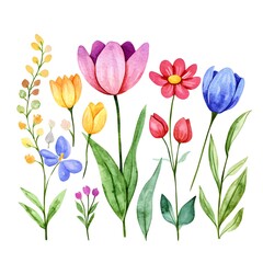Obraz premium Cute spring flowers, clipart, watercolor illustration, simple clean line art, white background, colorful,