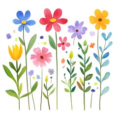 Cute spring flowers, clipart, watercolor illustration, simple clean line art, white background, colorful,