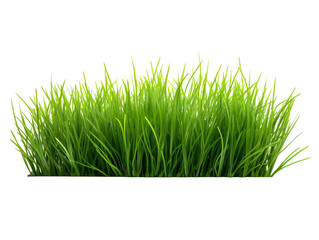 Obraz premium a close up of grass